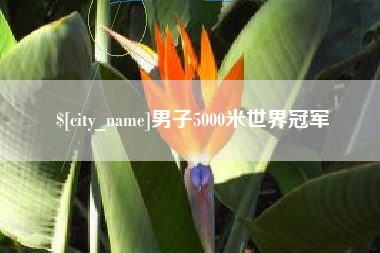 沛县男子5000米世界冠军