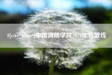 沛县中国消防学院2024年分数线