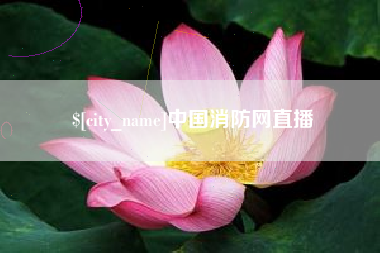 沛县中国消防网直播