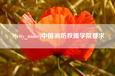 沛县中国消防救援学院要求