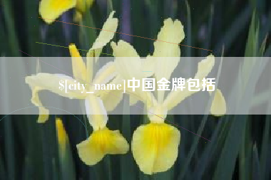 沛县中国金牌包括