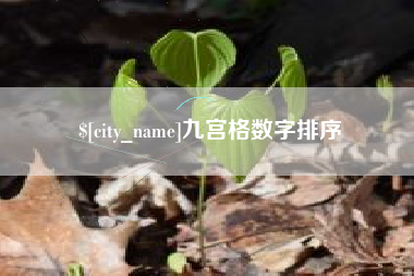 沛县九宫格数字排序