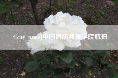 沛县中国消防救援学院航拍