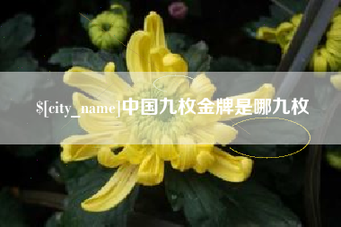 沛县中国九枚金牌是哪九枚