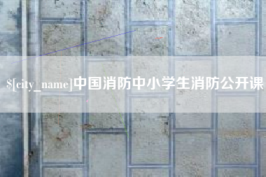 沛县中国消防中小学生消防公开课