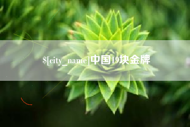 沛县中国19块金牌
