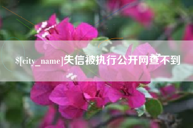 沛县失信被执行公开网查不到