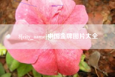 沛县中国金牌图片大全
