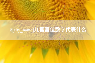 沛县九宫宫位数字代表什么