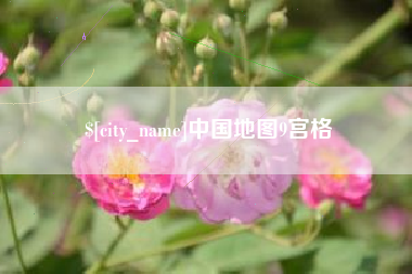 沛县中国地图9宫格