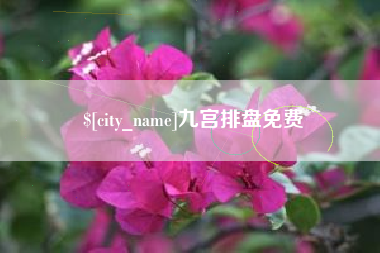 沛县九宫排盘免费