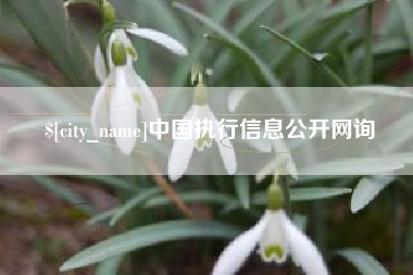 沛县中国执行信息公开网询