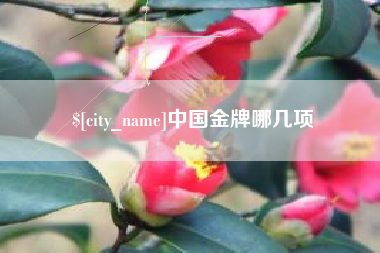 沛县中国金牌哪几项