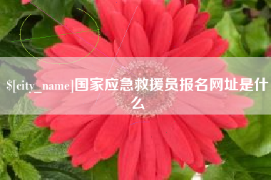 沛县国家应急救援员报名网址是什么