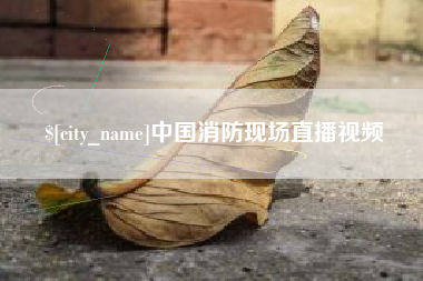 沛县中国消防现场直播视频