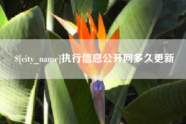 沛县执行信息公开网多久更新