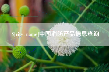 沛县中国消防产品信息查询