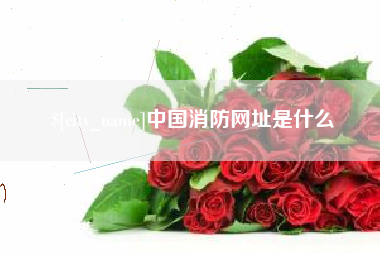 沛县中国消防网址是什么