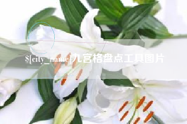 沛县九宫格盘点工具图片