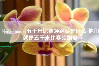 沛县五千米比赛领跑员是什么-他们就是五千米比赛领跑员