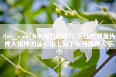 沛县60米接力赛技巧-下压式则是传棒人将棒的前部由上向下传到接棒人手中