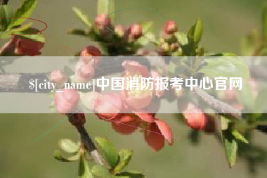 沛县中国消防报考中心官网