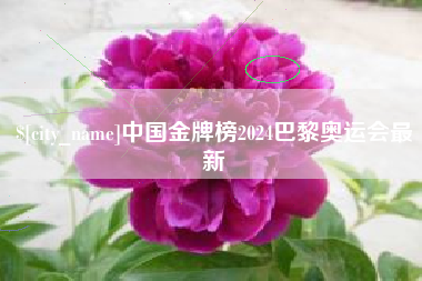 沛县中国金牌榜2024巴黎奥运会最新