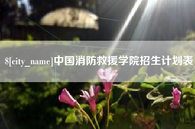 沛县中国消防救援学院招生计划表