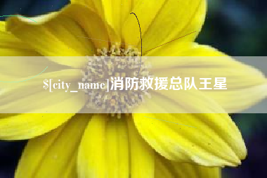 沛县消防救援总队王星