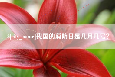 沛县我国的消防日是几月几号？