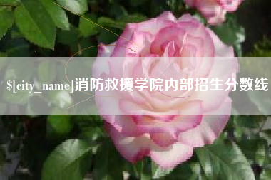 沛县消防救援学院内部招生分数线