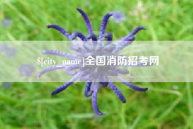 沛县全国消防招考网