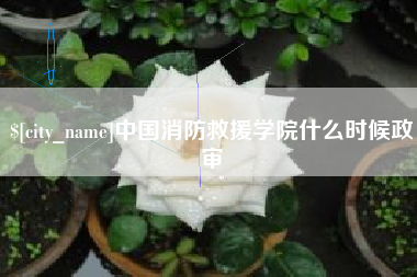 沛县中国消防救援学院什么时候政审