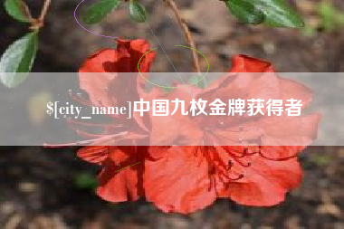 沛县中国九枚金牌获得者