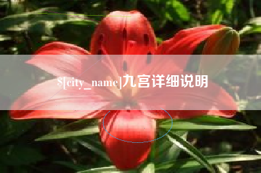 沛县九宫详细说明