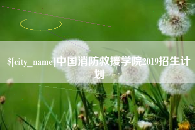 沛县中国消防救援学院2019招生计划