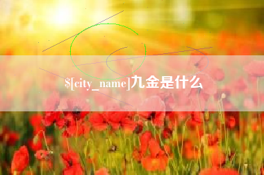 沛县九金是什么