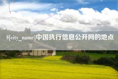 沛县中国执行信息公开网的地点