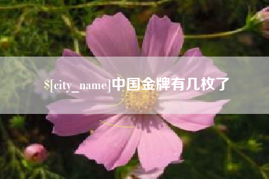 沛县中国金牌有几枚了
