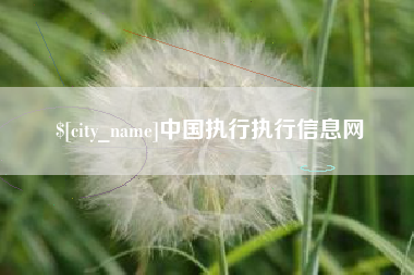 沛县中国执行执行信息网