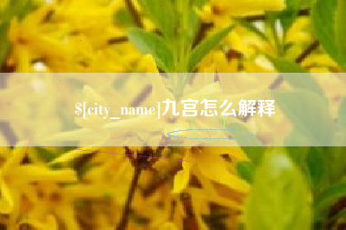 沛县九宫怎么解释