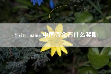 沛县中国夺金有什么奖励