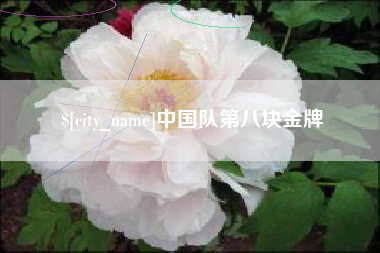 沛县中国队第八块金牌
