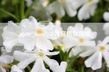 沛县579九宫格如何排