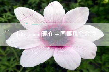 沛县现在中国哪几个金牌