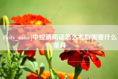 沛县中控消防证怎么考取需要什么条件