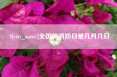 沛县全国的消防日是几月几日