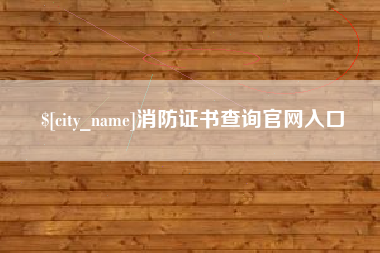沛县消防证书查询官网入口
