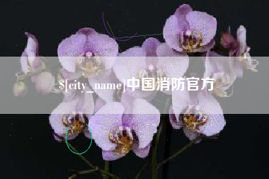 沛县中国消防官方