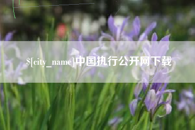 沛县中国执行公开网下载